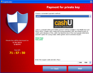 Figure 5. Payment options using the cashU service. (Source: Dell SecureWorks)